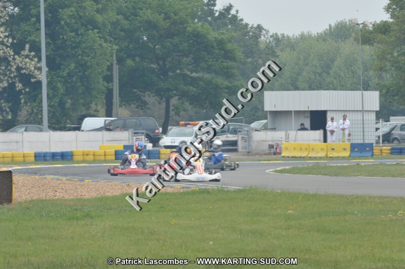 DSC_8223.JPG