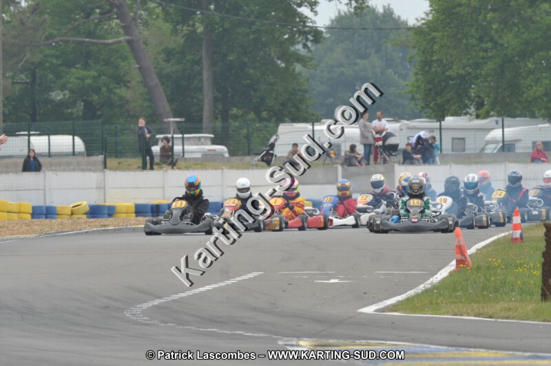 DSC_8276.JPG