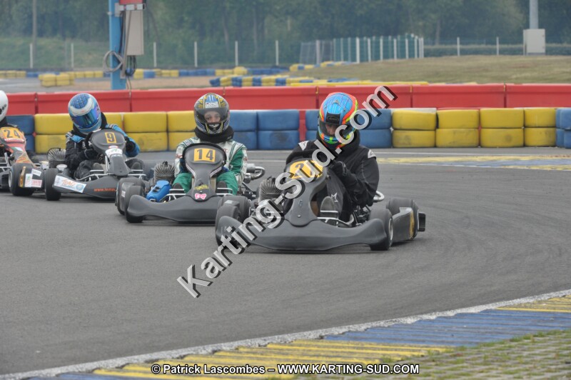 DSC_8279.JPG