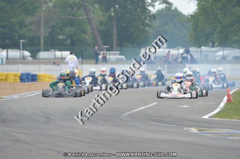 DSC_8434.JPG