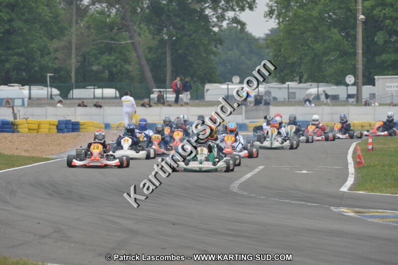 DSC_8522.JPG