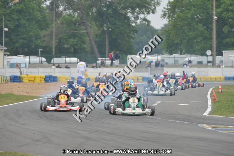 DSC_8523.JPG