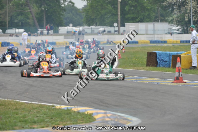 DSC_8524.JPG