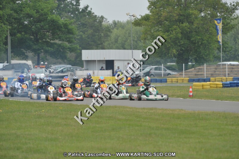 DSC_8533.JPG