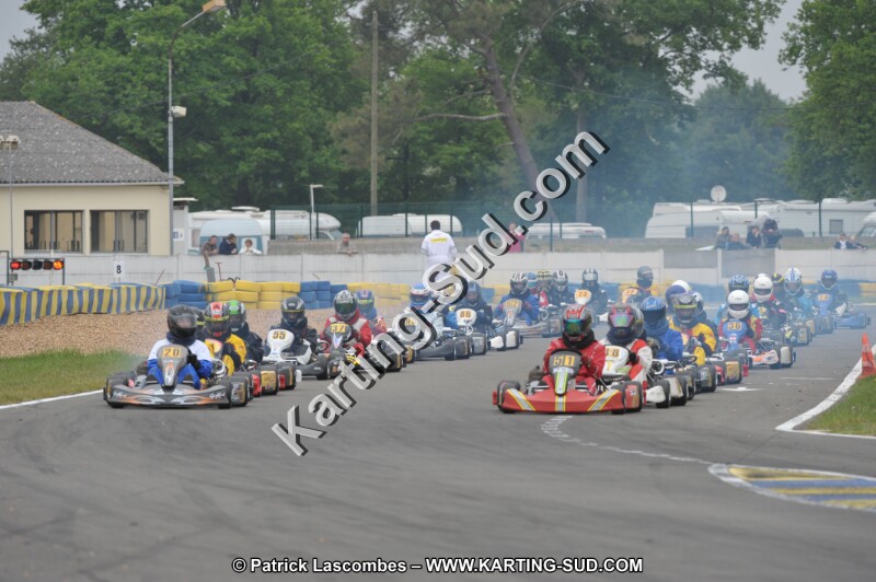 DSC_8677.JPG