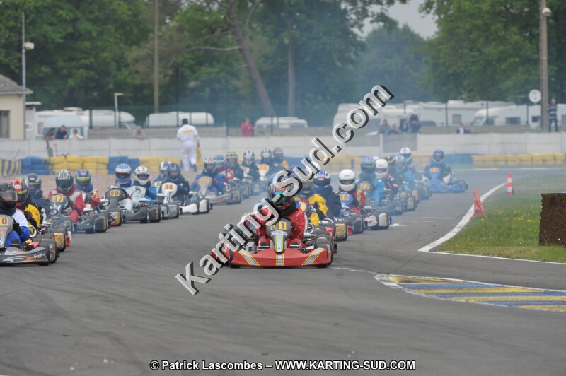 DSC_8678.JPG