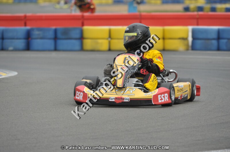 DSC_8784.JPG