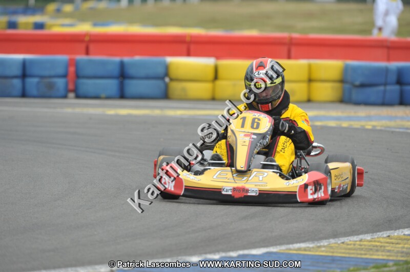 DSC_8826.JPG