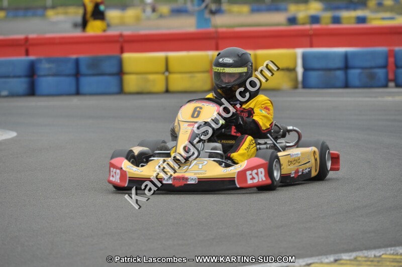 DSC_8867.JPG