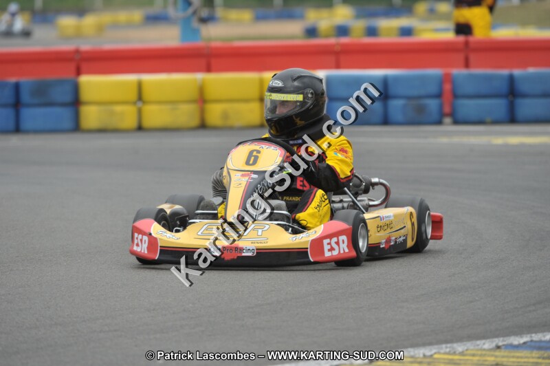DSC_8883.JPG