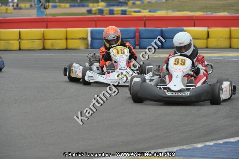 DSC_9339.JPG