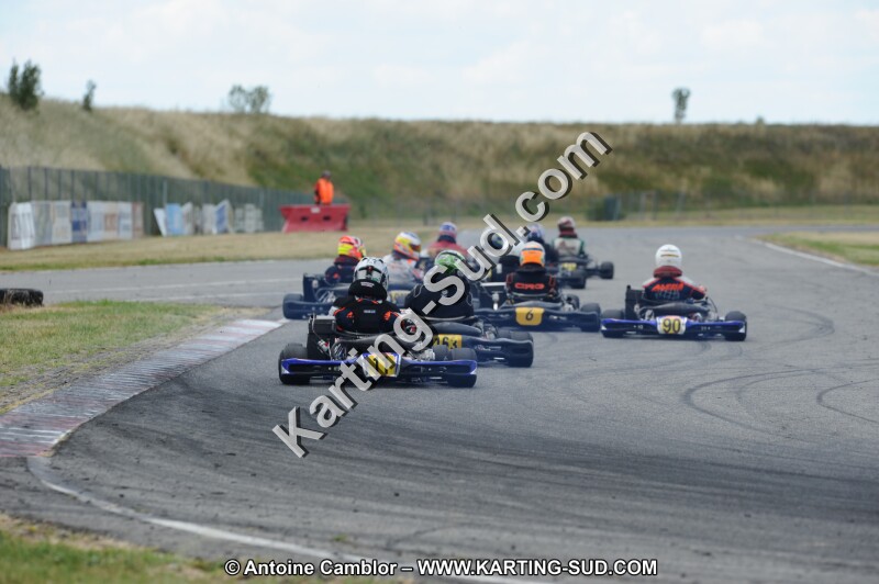DSC_1331.JPG