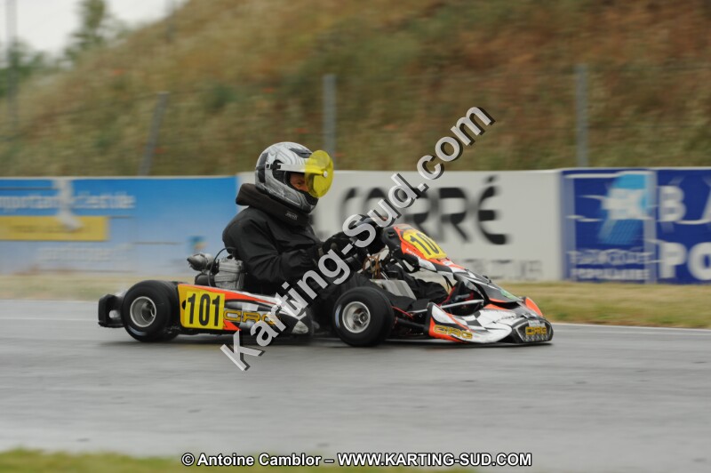 DSC_6537.JPG