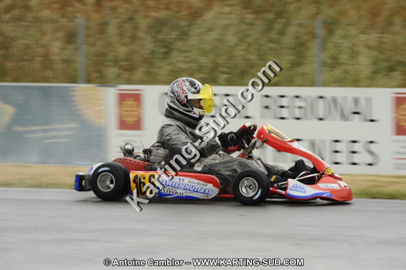 DSC_6555.JPG