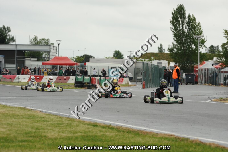 DSC_6611.JPG