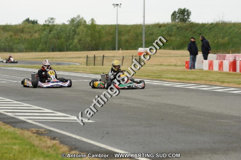 DSC_7231.JPG