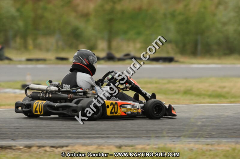 DSC_7309.JPG