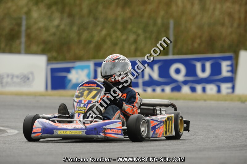 DSC_7375.JPG
