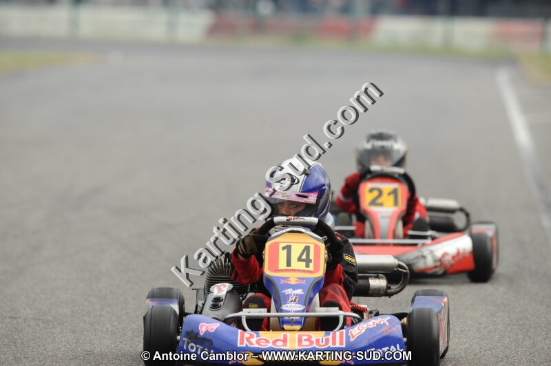 DSC_7424.JPG