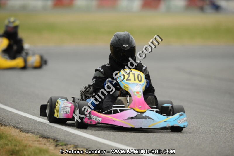 DSC_7680.JPG