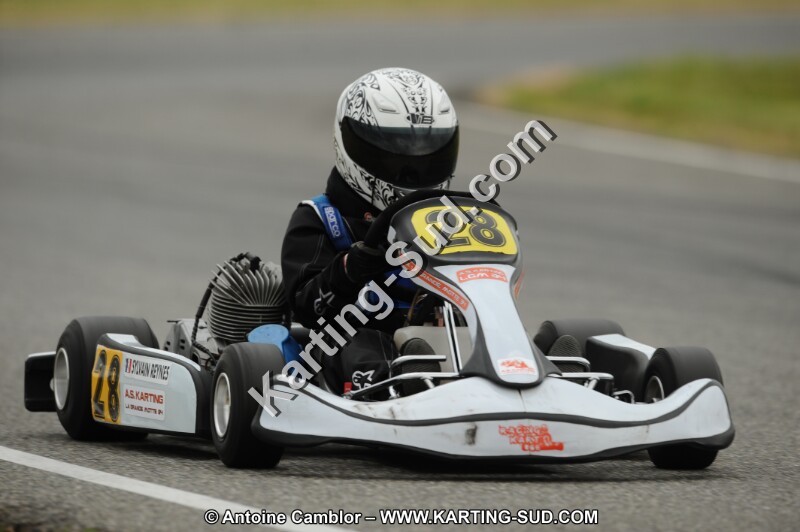DSC_7682.JPG