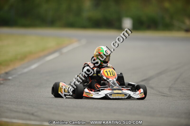 DSC_7785.JPG