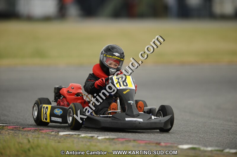 DSC_7801.JPG