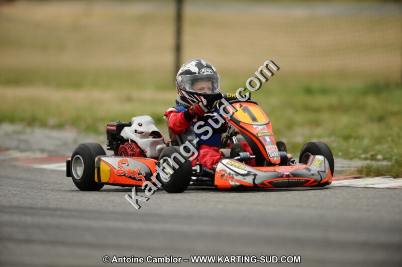 DSC_7806.JPG