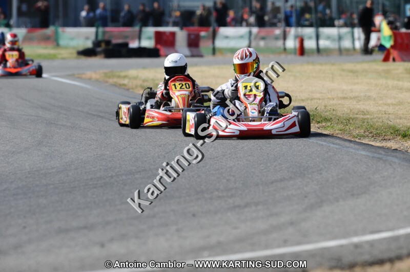 DSC_8755.JPG