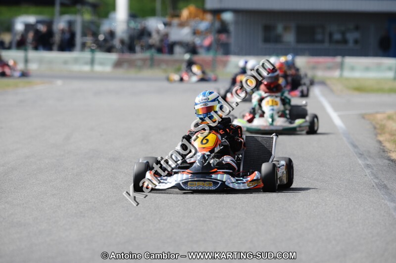 DSC_8987.JPG
