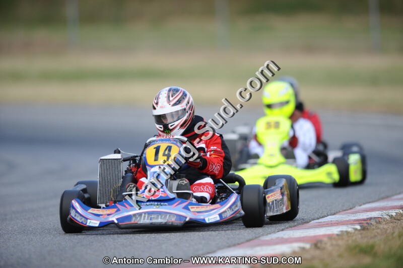 DSC_9496.JPG