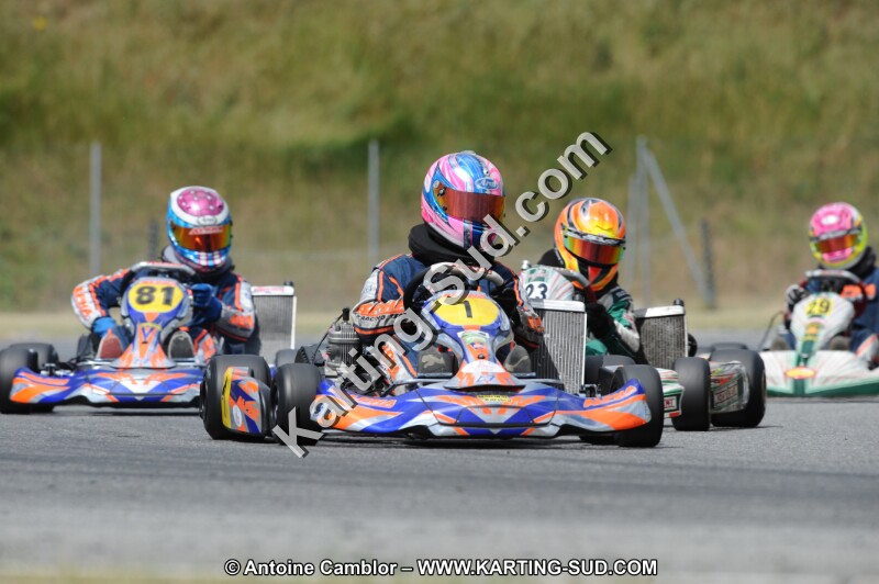 DSC_9590.JPG