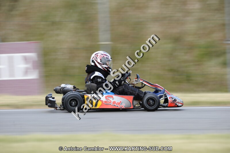 DSC_9772.JPG