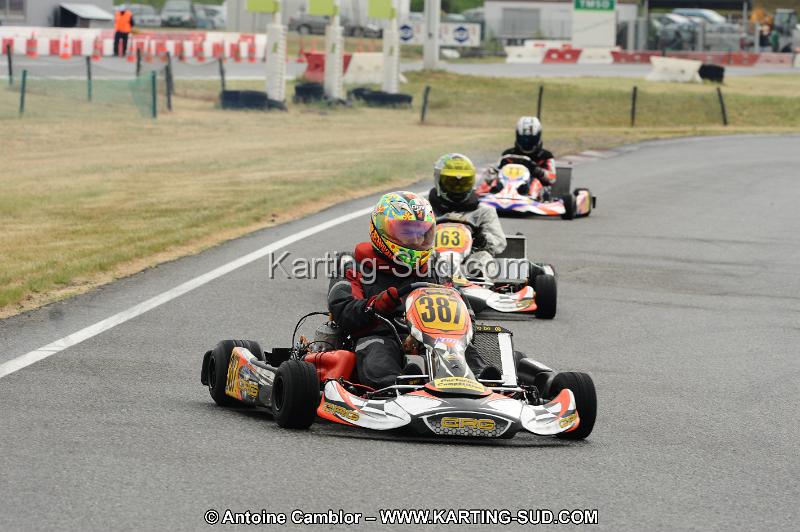 DSC_6954.JPG