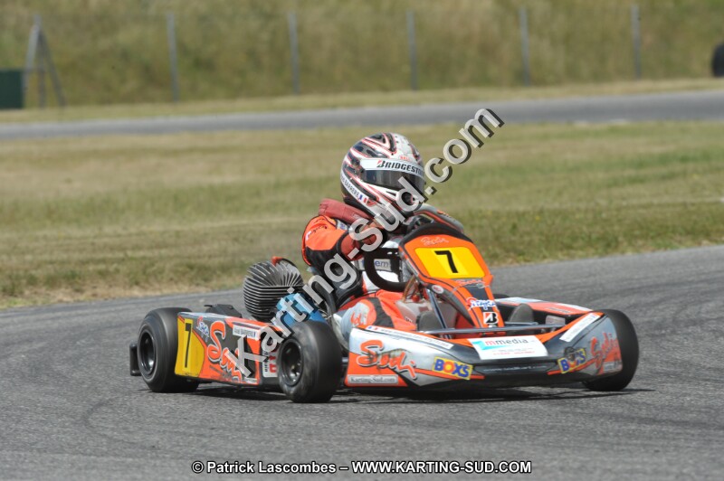 DSC_0523.JPG