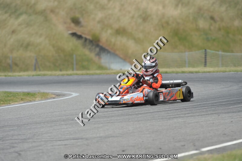 DSC_0532.JPG