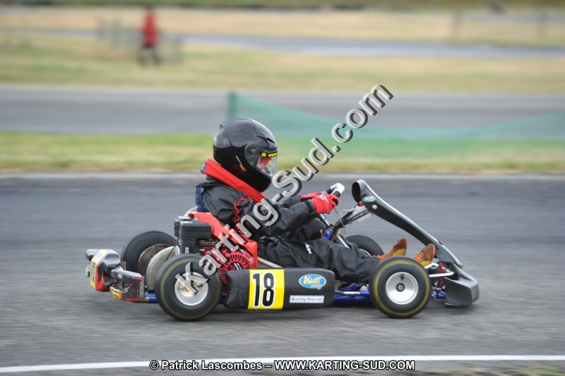 DSC_0931.JPG