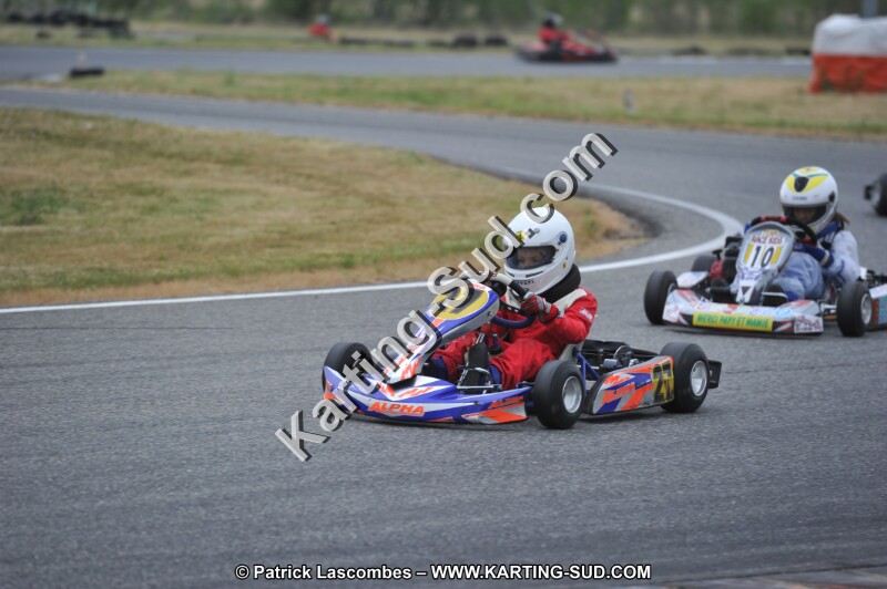 DSC_1250.JPG