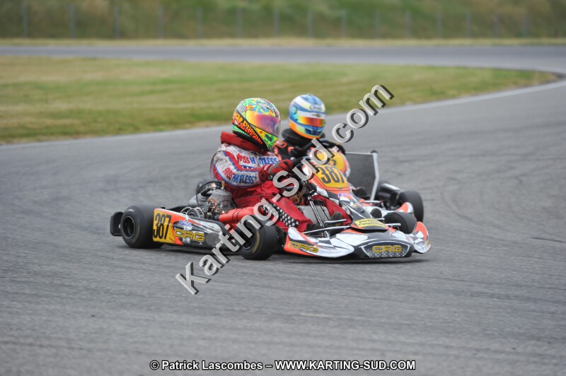 DSC_1264.JPG