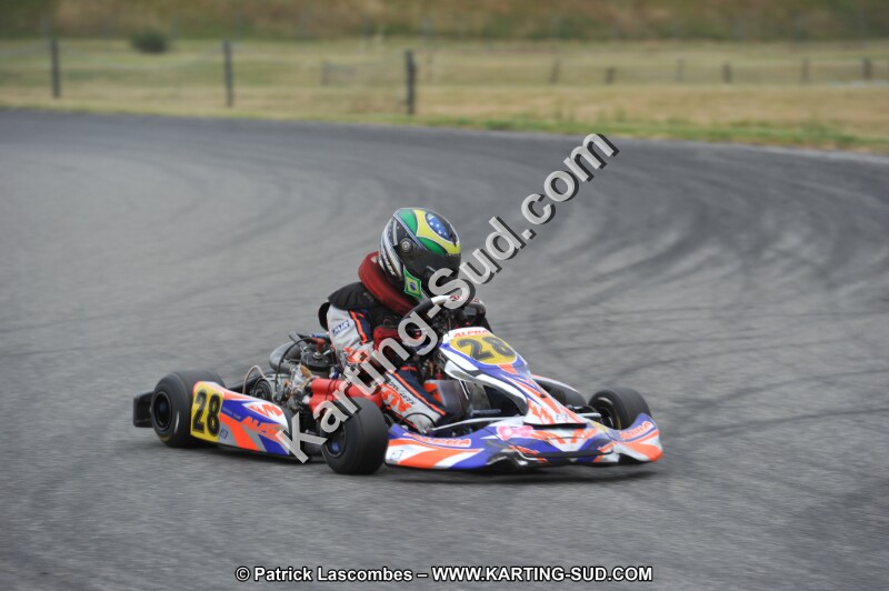 DSC_1290.JPG