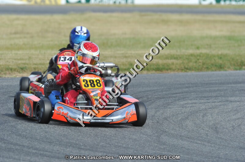DSC_1511.JPG