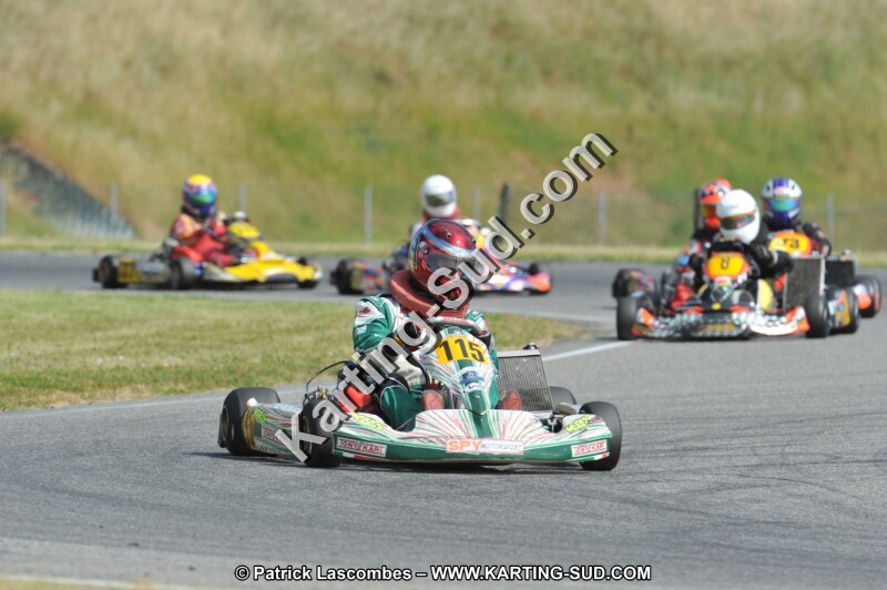 DSC_1537.JPG