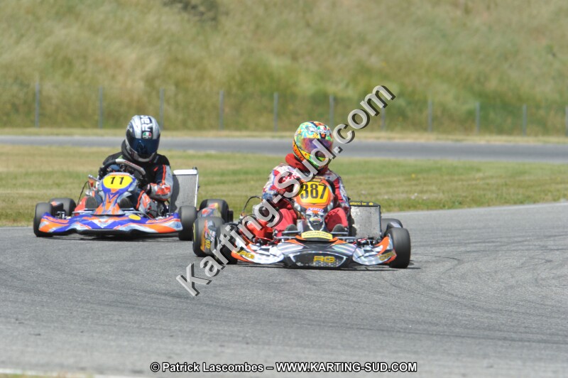 DSC_1594.JPG