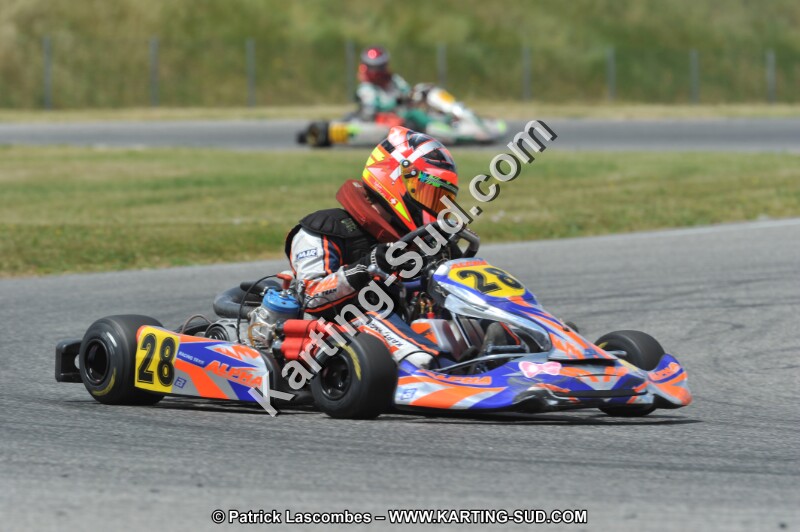 DSC_1599.JPG