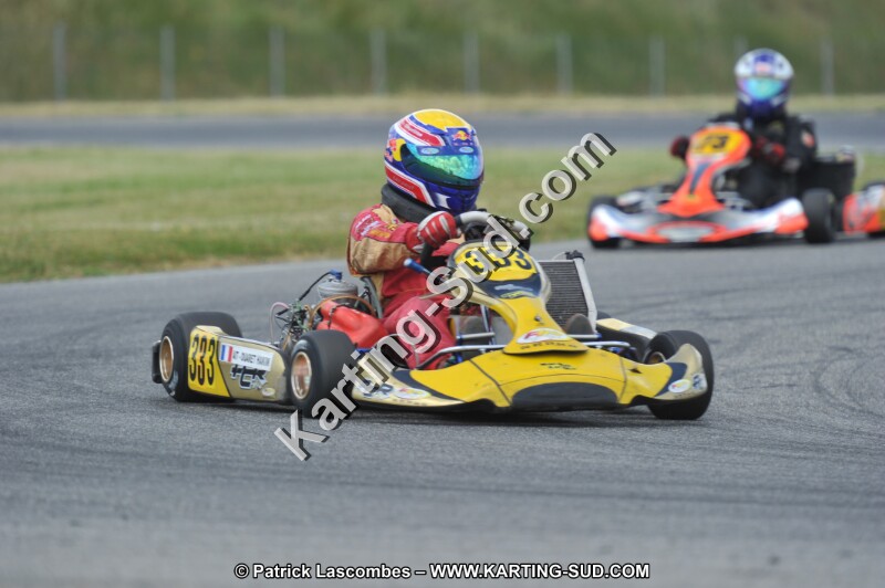 DSC_1613.JPG
