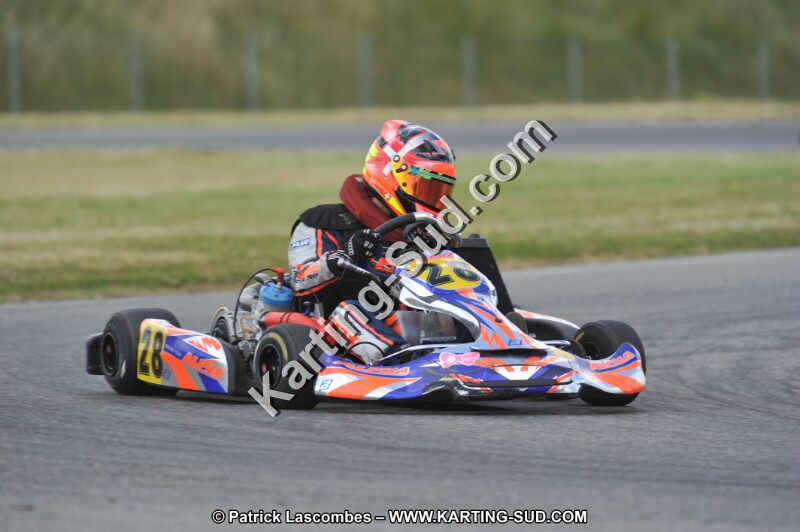 DSC_1628.JPG