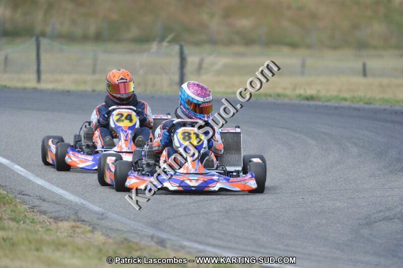 DSC_1667.JPG