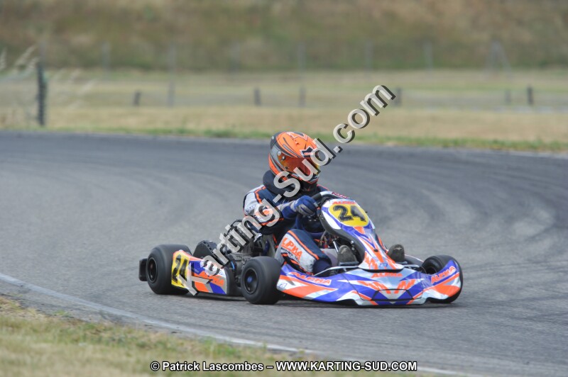 DSC_1675.JPG