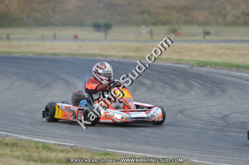 DSC_1869.JPG