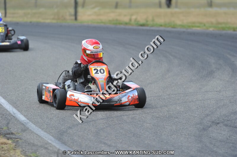 DSC_1895.JPG
